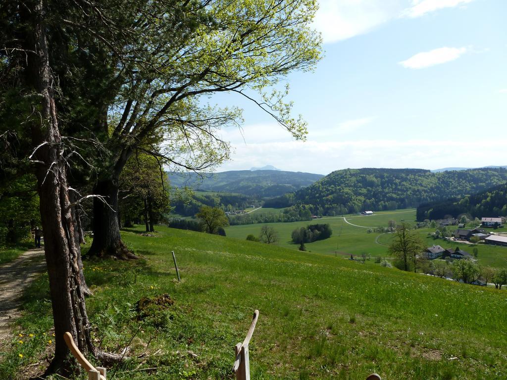 Ferienwohnung Kaltenleitner Weissenkirchen im Attergau Exteriér fotografie