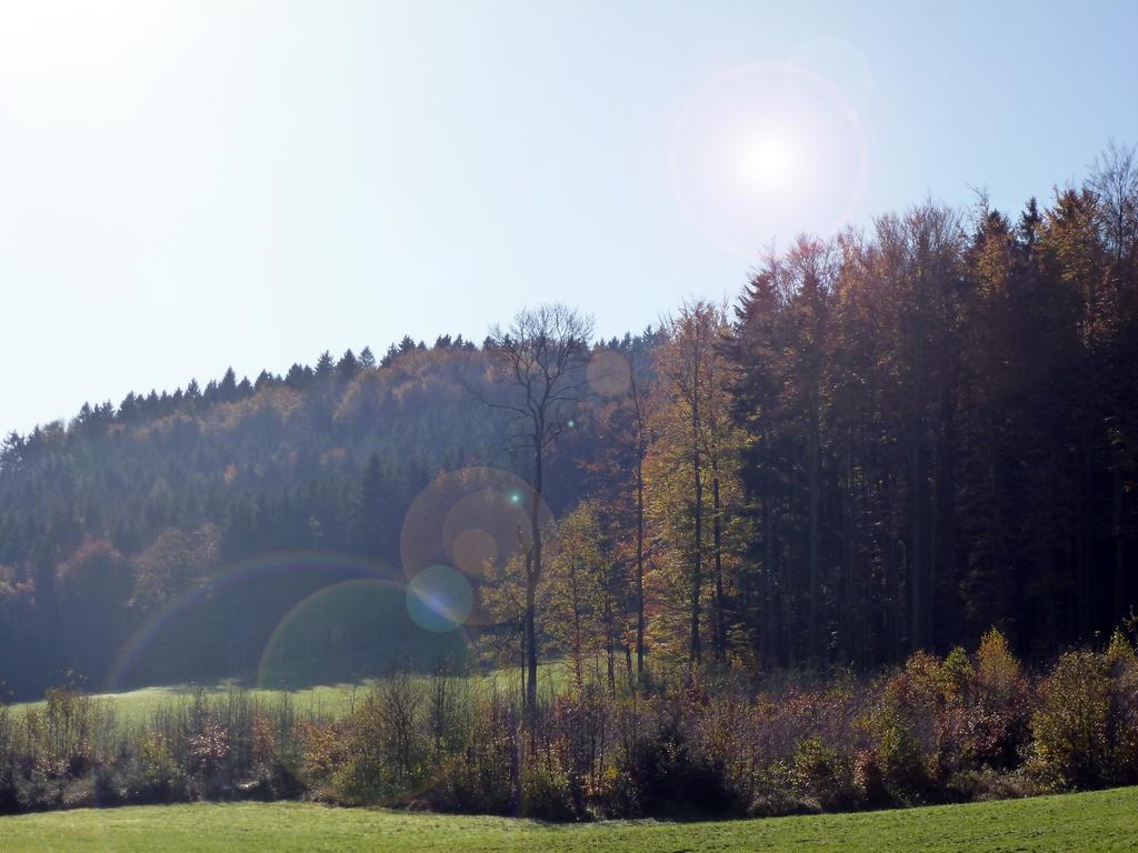 Ferienwohnung Kaltenleitner Weissenkirchen im Attergau Exteriér fotografie
