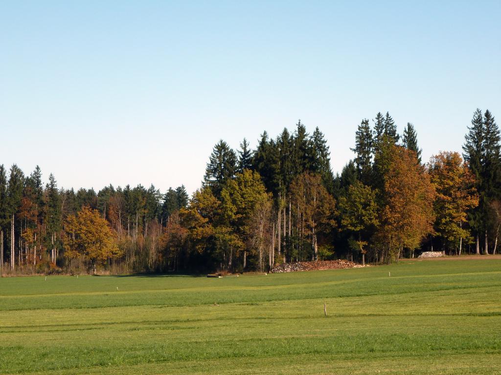 Ferienwohnung Kaltenleitner Weissenkirchen im Attergau Exteriér fotografie